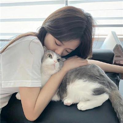 年度鸟事